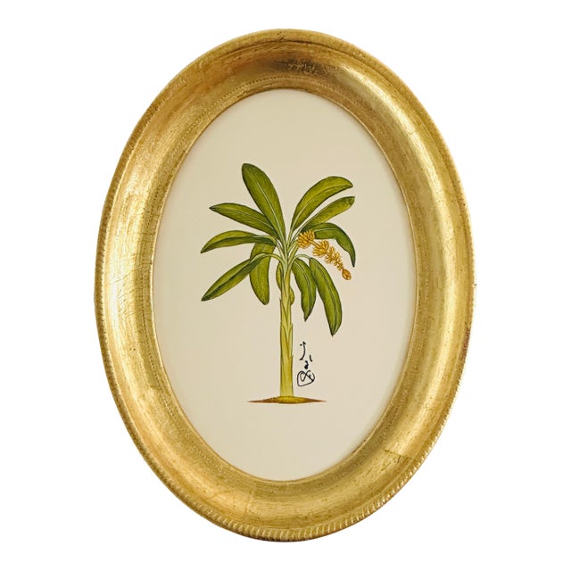Original Hand Painted Banana Palm Tree, Framed For Sale
