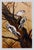 Downey Woodpeckers Painting by Jerry Weers For Sale - Image 4 of 4