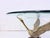 Hollywood Regency Swan Metal Coffee Table, 1960s For Sale - Image 10 of 11
