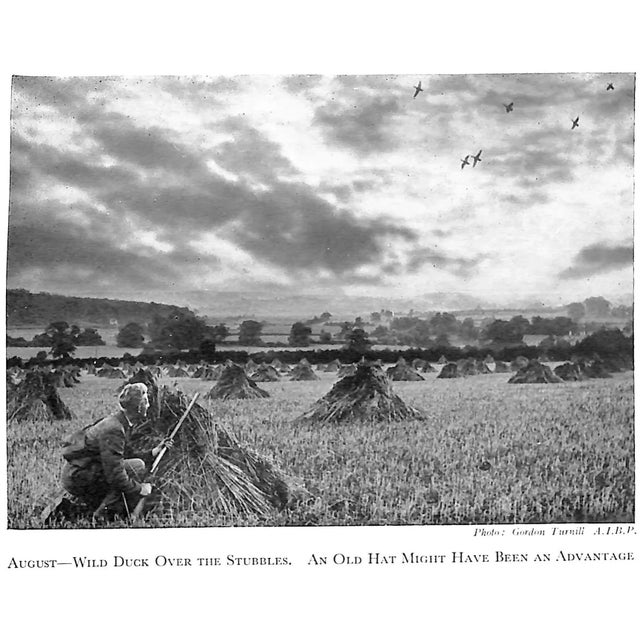 "High Birds and Low" 1950 Richards, Coombe For Sale - Image 13 of 13