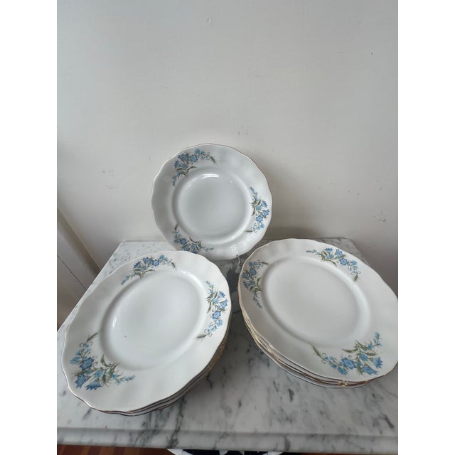 Traditional Karolina Porcelain Bluebell Floral Dinner Plate - Set of 10, Poland For Sale - Image 3 of 8