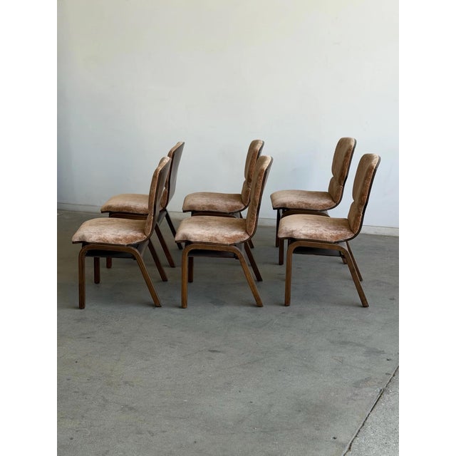 Dark Oak Bentwood Dining Chairs For Sale - Image 9 of 9