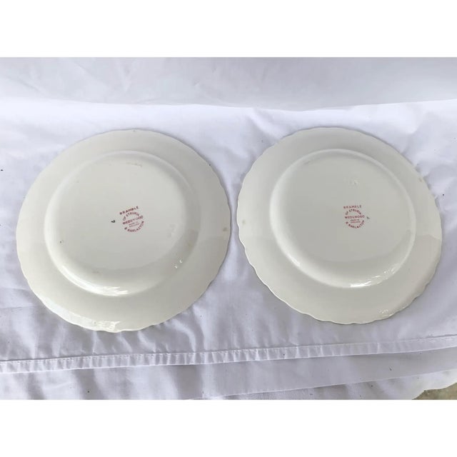 White Vintage Wedgwood Bramble of Etruria Pink Salad Plates-a Pair For Sale - Image 8 of 9