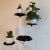 1980s Potted Tree by Achille Castiglioni for Zanotta, 1983 For Sale - Image 5 of 11