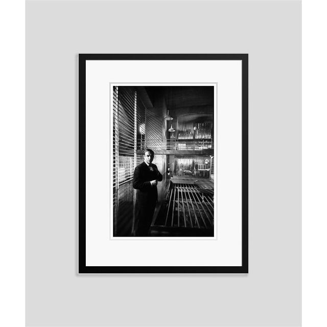 Modern Goldfinger Framed in Black For Sale - Image 3 of 3