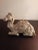 This is a Textured Stoneware 7" Sitting Camel Figurine. Procured at auction BOX B