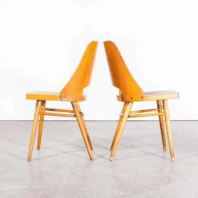 1950s Honey Beech Dining Chairs by Radomir Hoffman for Ton, 1950s, Set of 2 For Sale - Image 5 of 9
