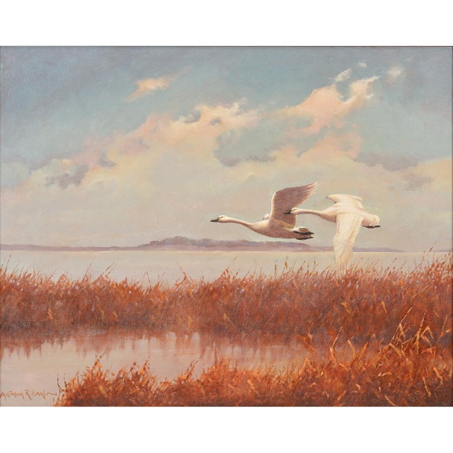 An American oil on canvas from around 1900 capturing a pair of swans in flight over a marsh, their wings raised mid-stroke...