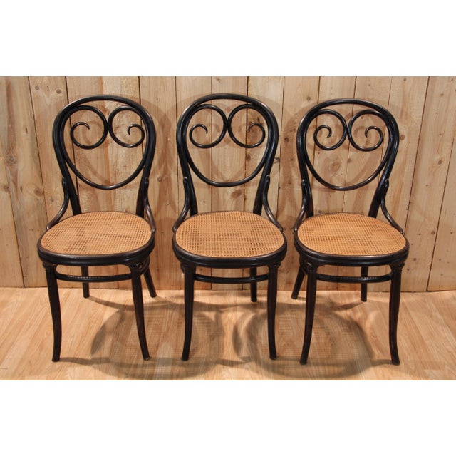 Vintage Chairs by Michael Thonet for Gebrüder Thonet, 1880, Set of 6 For Sale - Image 6 of 13