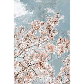 When I Dream of You, 40x60 Contemporary Fine Art Photography by Kristin Hart For Sale