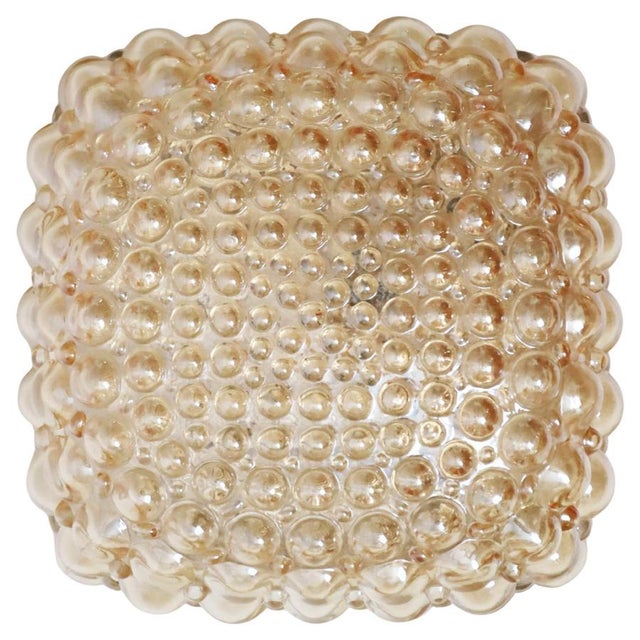 Golden Bubble Wall Light with Glass by Helena Tynell for Glashütte Limburg, 1960s For Sale - Image 17 of 17