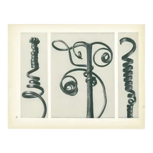 1928 Karl Blossfeldt Pumpkin Tendrils, Original Period Photogravure N53