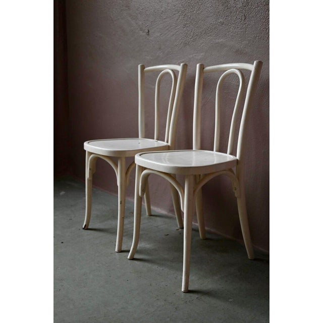 These ladies have been familiar with bistros for over a century and we never tire of their elegant and traditional lines....