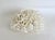 Large natural Birdsnest coral specimen with various sea life still attached. Each piece is cleaned and trimmed from its...