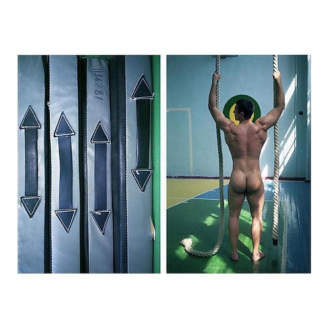 Schwarzenegger Is My Idol 12, Limited Edition Hahnemühle Rag Baryta Print, 2012 For Sale