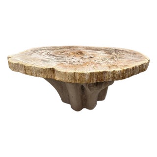 Andrianna Shamaris Oval Petrified Wood Coffee Table with an Organic Teak Base For Sale