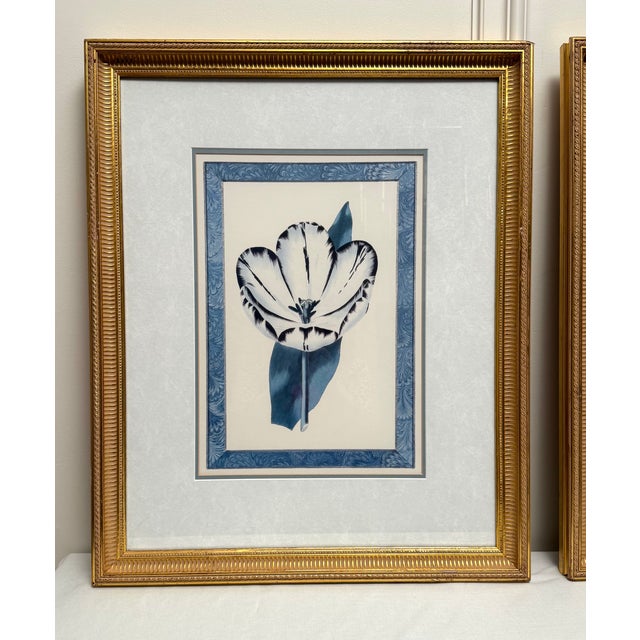 Vintage Traditional Victorian Blue Floral Botanical Gold Framed Reproduction Prints, a Pair For Sale - Image 4 of 17