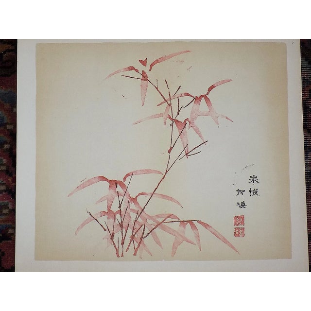Realism Vintage Signed Chinese Botanical Color Lithographs - Set of 3 For Sale - Image 3 of 9