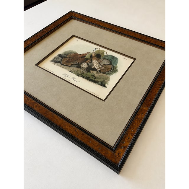John James Audubon Mid 19th Century Ruffed Grouse Original Antique Bird Print by John James Audubon, Framed in Burl Wood For Sale - Image 4 of 4