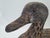 20th Century Wooden Duck Hunting Decoy, 1890s For Sale - Image 3 of 10