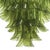 Forest Green Green Murano Glass Petal Chandelier with Gold-Toned Support, Italy, 1999 For Sale - Image 8 of 11