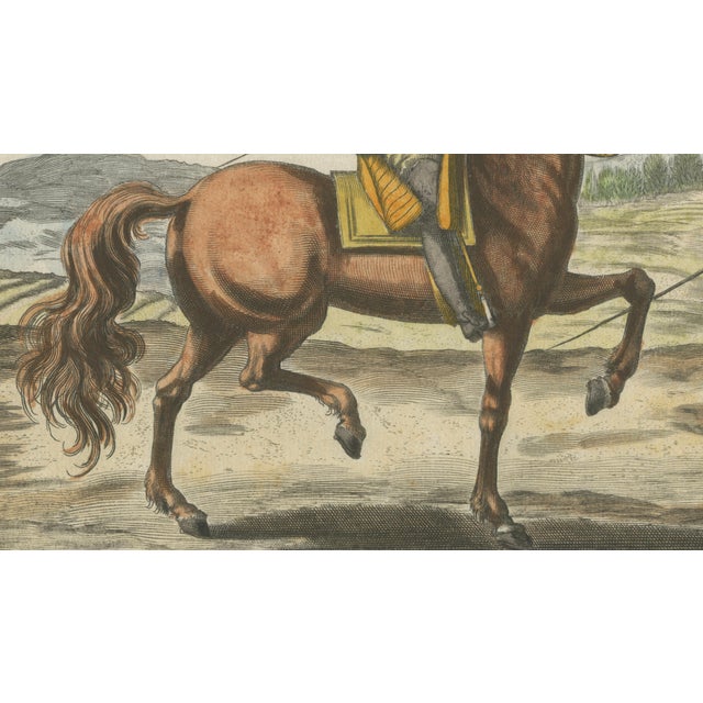 Georg Simon Winter von Adlersflügel, Baroque Dressage Horse in Collection, 1678, Print For Sale - Image 5 of 9