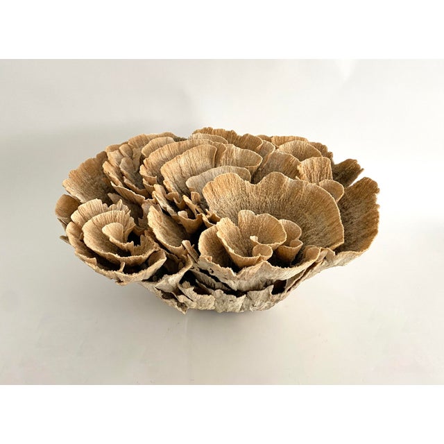 1990s Extraordinary Natural Unbleached Poca Coral Speciman For Sale - Image 5 of 10