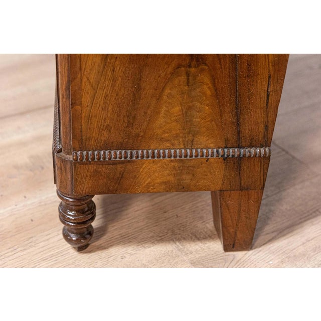 Brown Italian 19th Century Walnut Bedside Table with Drawer over Door, Carved Motifs For Sale - Image 8 of 10