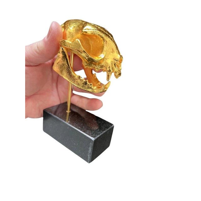 Golden Cat Skull Desk Sculpture on Black Marble Base For Sale - Image 3 of 11