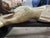 Religious Antique Ecclesiastical Figure of Christ on the Cross For Sale - Image 3 of 12