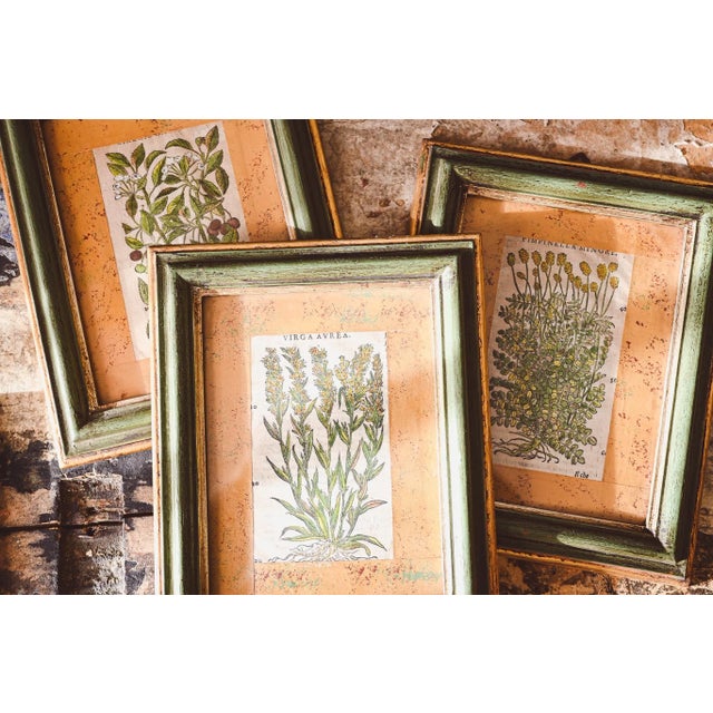 Small paintings with engravings from the 1600s. They depict three types of plants. Perfect for an English-style study or...