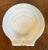 French Antique 19th Century French Frosted White Opaline Glass Scallop Sea Shell Dish For Sale - Image 3 of 13