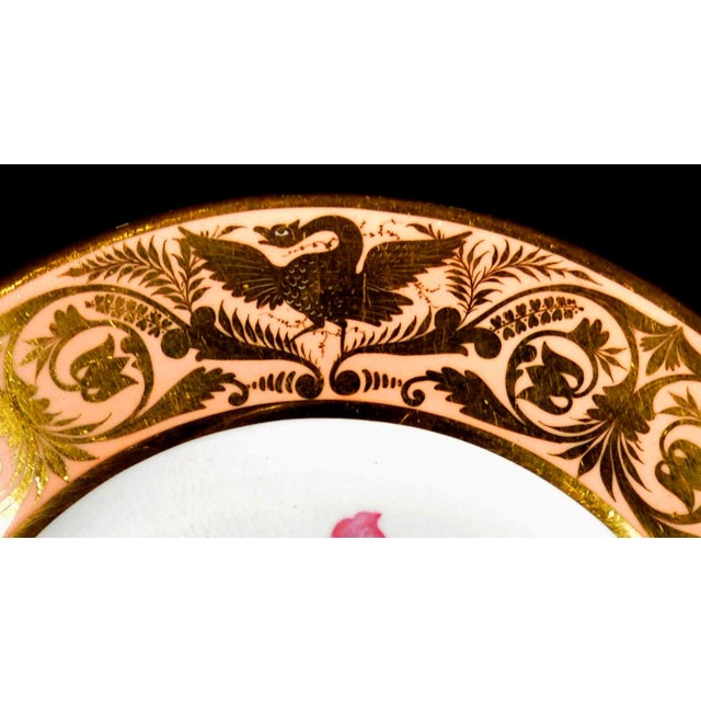 Antique Derby Porcelain Botanical Plate, Marsh Hibiscus, Salmon Ground With Gilt Swans, John Brewer, Circa 1815 For Sale In Philadelphia - Image 6 of 12