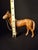 Antique Hubley Cast Iron Standing Horse Figurine, Saddle & Reins, Original Paint C. 1920s For Sale - Image 9 of 11