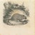 The Mouse is an original lithograph on ivory-colored paper, realized by Paul Gervais (1816-1879). The artwork is from The...