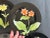Ceramic Fitz and Floyd Black Floral Dessert or Salad Plate Dish Set of 6 For Sale - Image 7 of 12