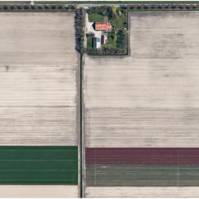 Not Yet Made - Made To Order "AV_Tulip_Fields_002" Contemporary Limited Edition Fine Art Photograph Print by Bernhard Lang For Sale - Image 5 of 9