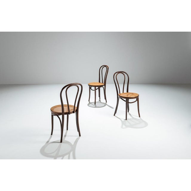 Vintage Chaplin Chairs from Thonet, 1960s, Set of 3 For Sale - Image 9 of 9