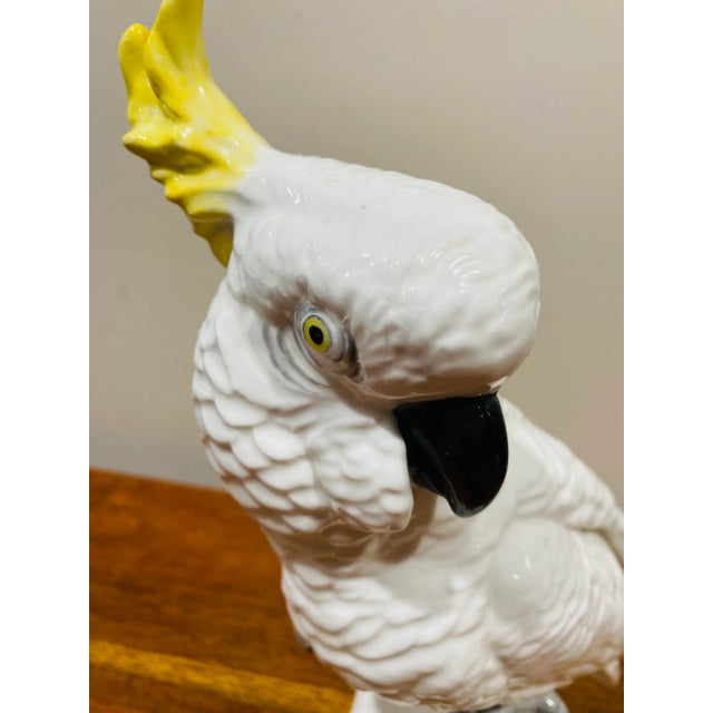Ceramic English Staffordshire Ceramic Cockatoo Signed by T.J.Jones For Sale - Image 7 of 8