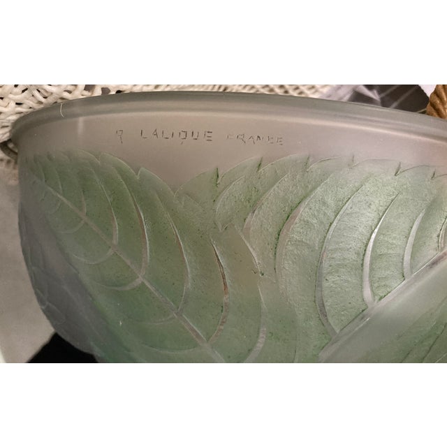 1920s Art Deco Lalique Dahlia Chandeliers - a Pair For Sale - Image 9 of 9