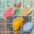 Contemporary Elfi Schuselka Abstract Double-Sided Mixed Media For Sale - Image 3 of 6
