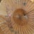 Tan Vintage Asian Paper Umbrellas - a Pair For Sale - Image 8 of 11