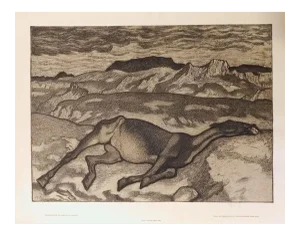 Aus Albanien 1916