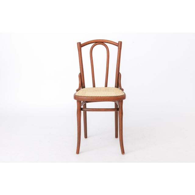 Antique Austrian Bentwood Rattan Bistro Chair in the Style of Thonet No. 56, 1930s For Sale - Image 12 of 12