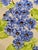 1988 Shafford Fleurs Du Jour Embossed Floral Dessert Plates — Set of 12 For Sale - Image 10 of 12