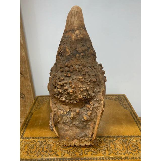 1960s Vintage Folk Art Gourd Falcon Sculpture For Sale - Image 5 of 8