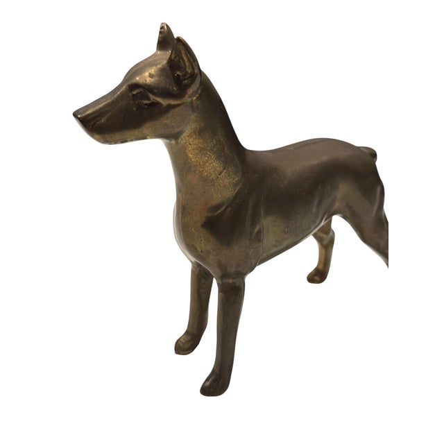 1970s Vintage Brass Doberman Pitcher Dog For Sale - Image 5 of 7