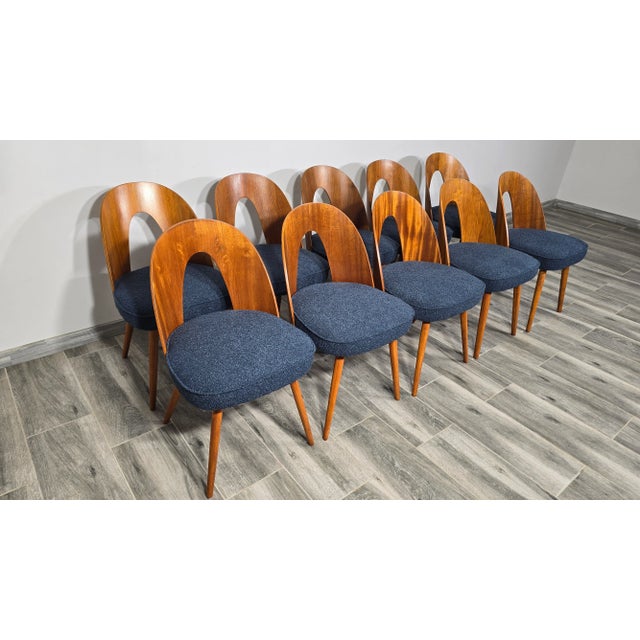 Blue Dining Chairs by Antonin Suman, 1960s, Set of 10 For Sale - Image 8 of 10