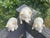 Figurative Adorable Trio of Vintage Belleek Porcelain Pigs Made in Ireland For Sale - Image 3 of 8