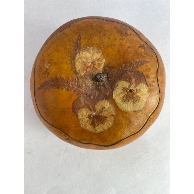 Embellished Natural Gourd Box For Sale - Image 6 of 10